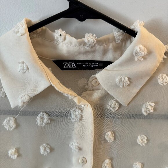 Zara - Semi-Sheer Raised Swiss Dot Smocked Arms Button Down Blouse - Picture 2 of 3